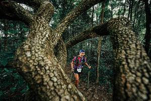 BIB: 
                            <button type="button" onclick="openModal(25393070)" class="btn btn-primary btn-sm float-right btn-popup" data-toggle="modal" data-target=".modal-high-quality">
                        <i class="fas fa-shopping-cart"></i> Add to Cart
                    </button>
                                            <button type="button" onclick="isThisMe(25393070, true)" class="btn btn-success btn-sm float-right btn-popup btn-isme hidden" data-toggle="tooltip" data-placement="bottom" title="นี่คือรูปของคุณใช่ไหม คลิกที่นี่เพื่อเอาเข้าอัลบั้ม">
                        <i class="fas fa-plus"></i> Add to album
                    </button>
                    <button type="button" onclick="isThisMe(25393070, false)" class="btn btn-warning btn-sm float-right btn-popup btn-isnotme hidden">
                        <i class="fas fa-ban"></i> Remove from album
                    </button>